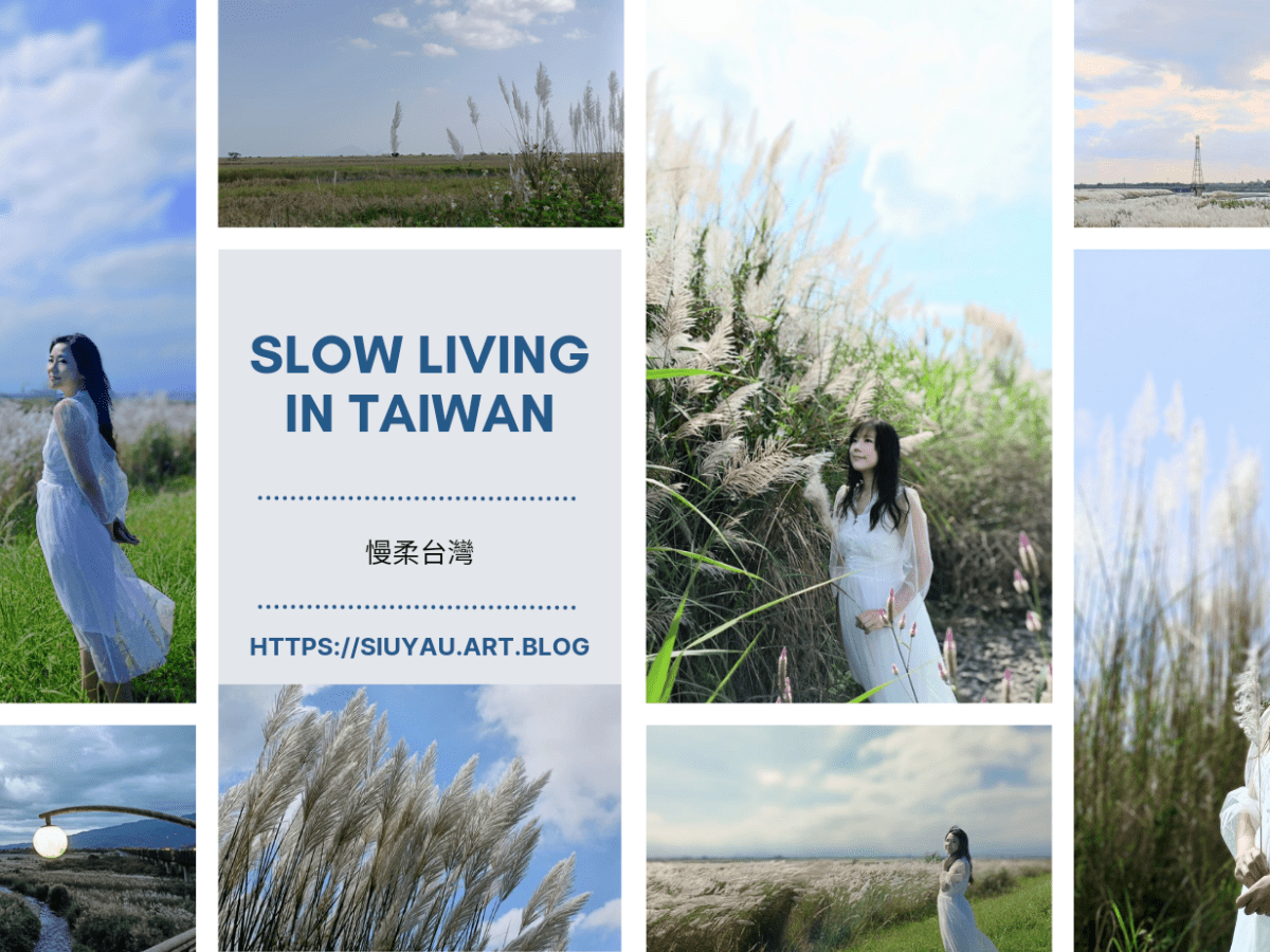 季節限定！浪漫銀白色地毯|甜根子草大爆發