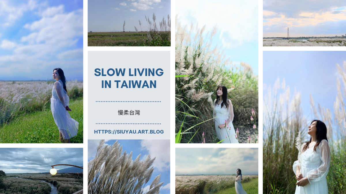 季節限定！浪漫銀白色地毯|甜根子草大爆發