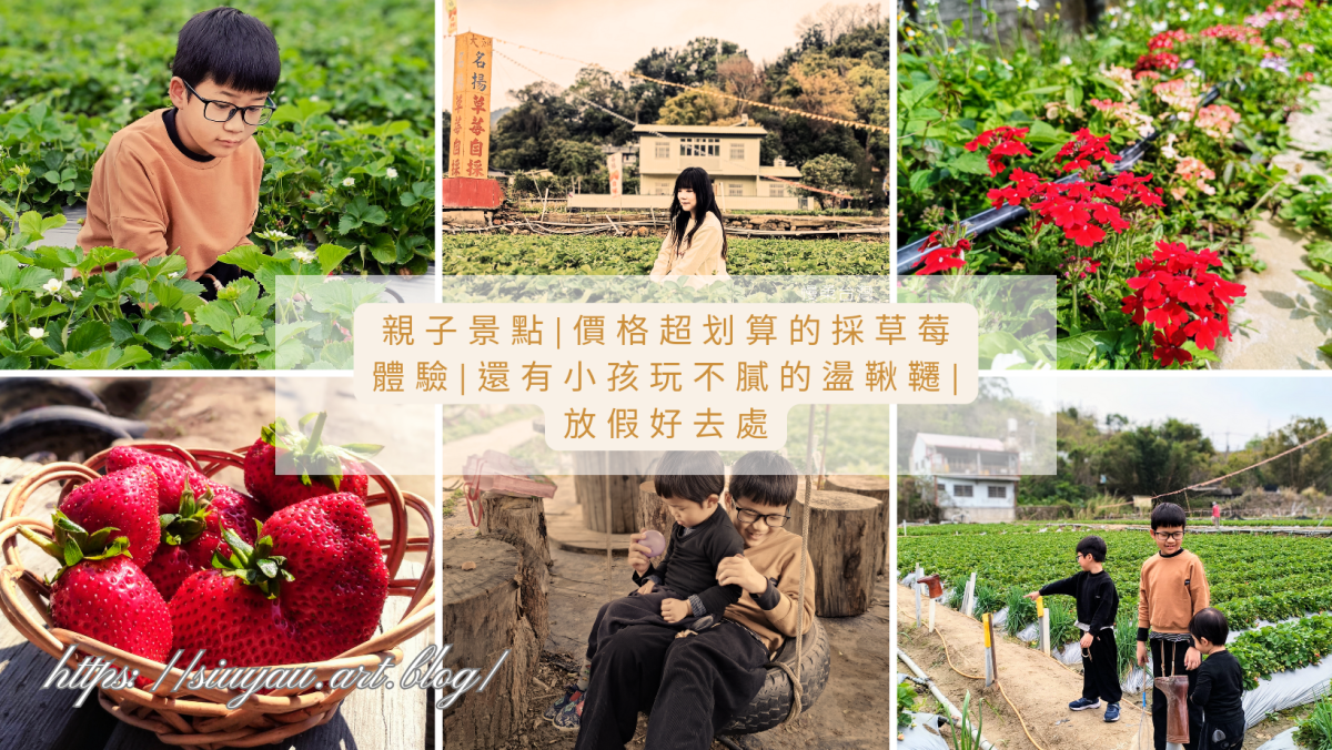親子景點|價格超划算的採草莓體驗|還有小孩玩不膩的盪鞦韆|放假好去處